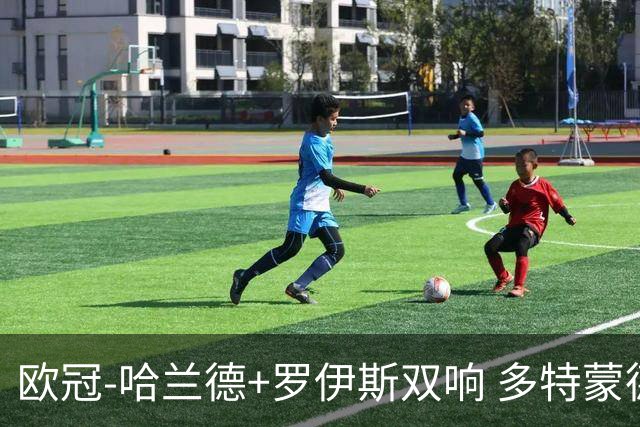 欧冠-哈兰德+罗伊斯双响 多特蒙德5-0大胜进欧联